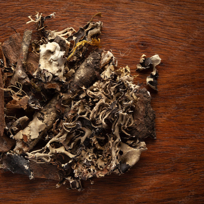 Black Stone Flower (Kalpasi)