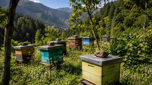 Himalayan Wild Multi Floral Honey