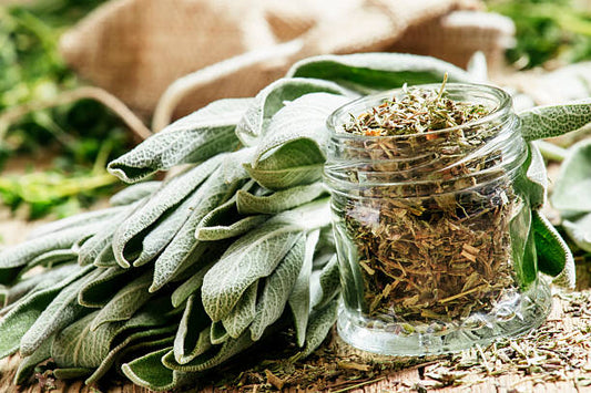 Sage