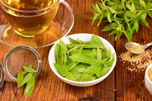 Lemon Verbena