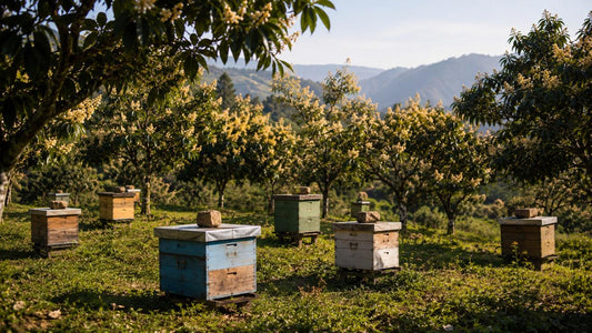 Himalayan Lychee Honey