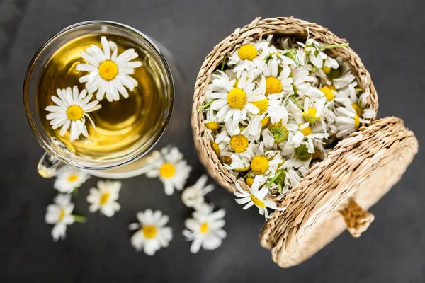 Chamomile