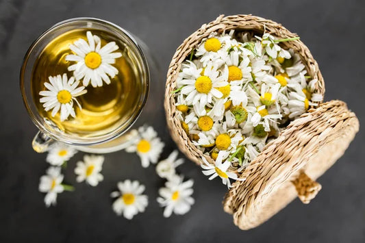 Chamomile